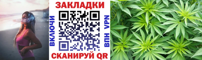Где купить наркоту Чкаловск Cocaine  Мефедрон  Alpha-PVP  Псилоцибиновые грибы  Марихуана 