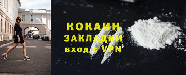 альфа пвп Няндома