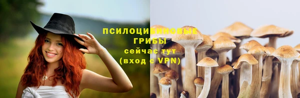 альфа пвп Няндома