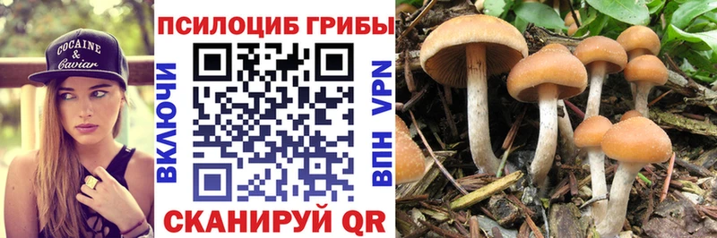 Галлюциногенные грибы Magic Shrooms  купить  цена  Чкаловск 
