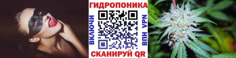 МАРИХУАНА THC 21%  darknet Telegram  Чкаловск 